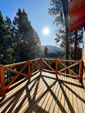 Cabaña en el Bosque con vista 1
